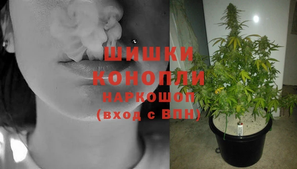 мескалин Коряжма