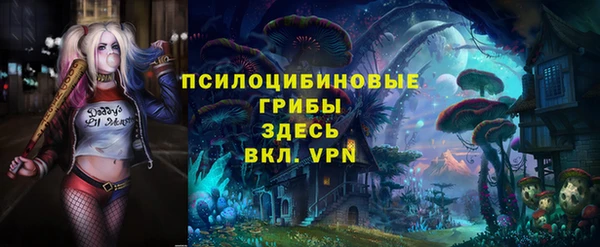 винт Костерёво