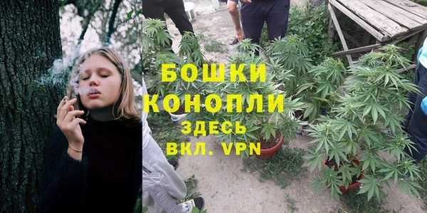 мескалин Коряжма