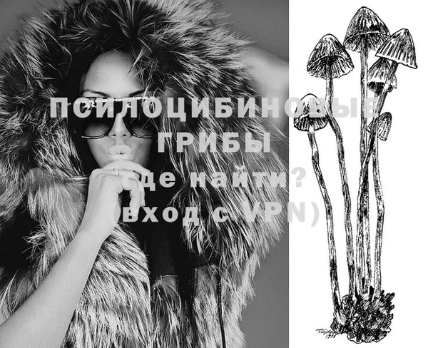 твердый Мегион