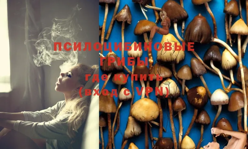 Псилоцибиновые грибы Psilocybe  что такое   Юрюзань 